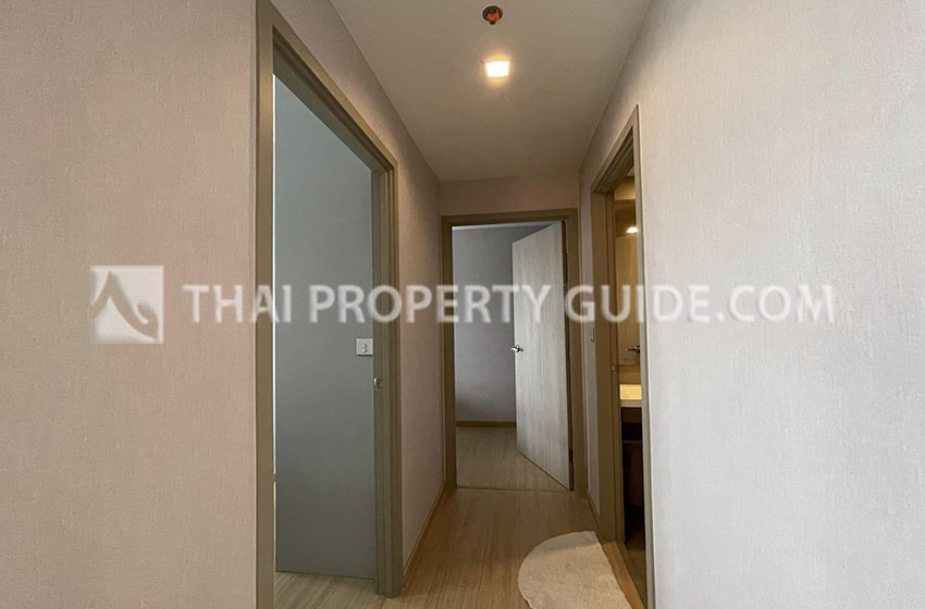 Condominium in Sukhumvit 